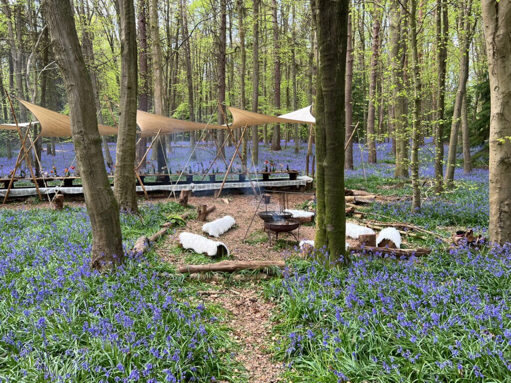 Shared experiences - A Woodland Feast - A table laid in a woodland, surrounded by bluebells